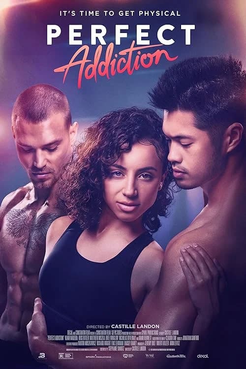 Perfect Addiction film posteri